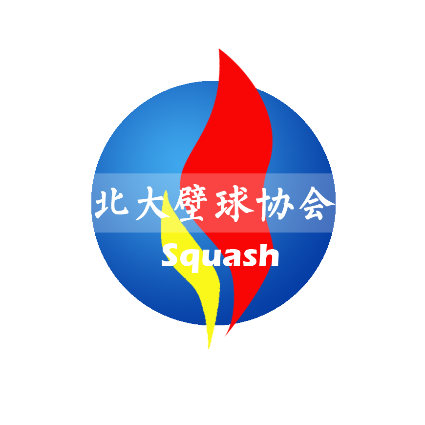 北京大学壁球协会